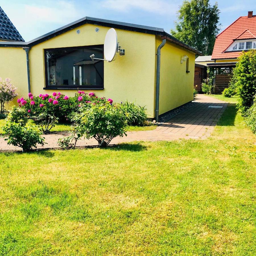 little Rosé Villa Zingst Kültér fotó